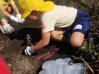 20191023_104618.jpg