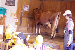 IMGP2263.JPG
