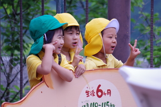 IMGP2287.JPG