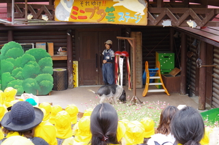 IMGP2390.JPG