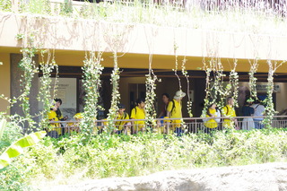 IMGP8514.JPG