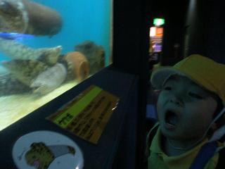 IMG_2115.jpg