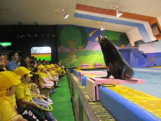 IMG_2245.jpg