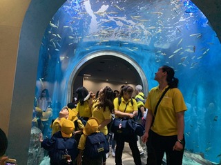 IMG_3627.JPG
