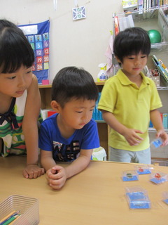 IMG_4516.JPG