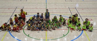 IMG_84661.jpg